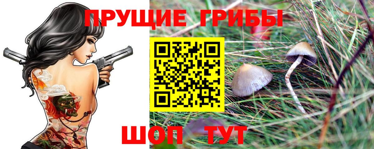 Новый Уренгой  купить  цена  Вход с VPN  Галлюциногенные грибы Psilocybine cubensis  Псилоцибиновые грибы мицелий 