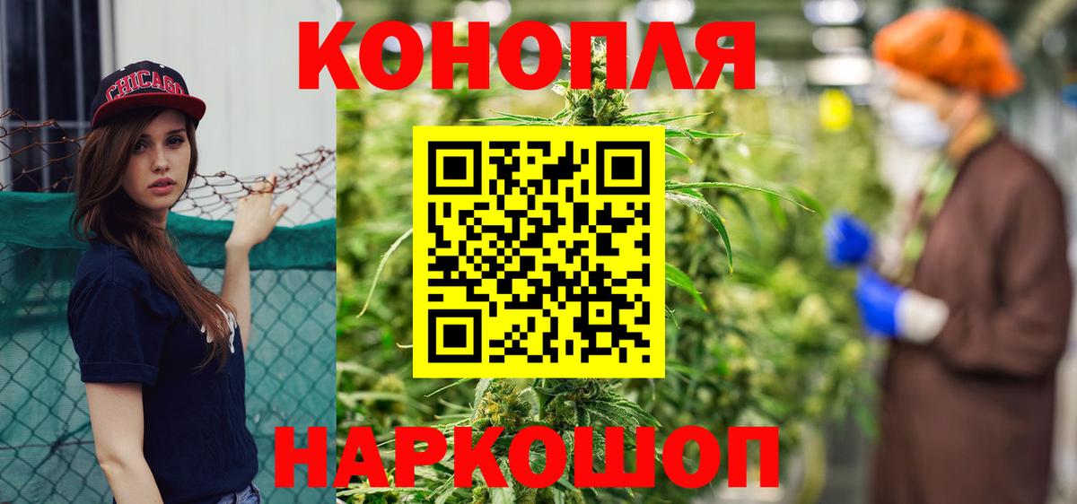Бошки марихуана сатива  Вход с VPN  Новый Уренгой  Бошки Шишки планчик 